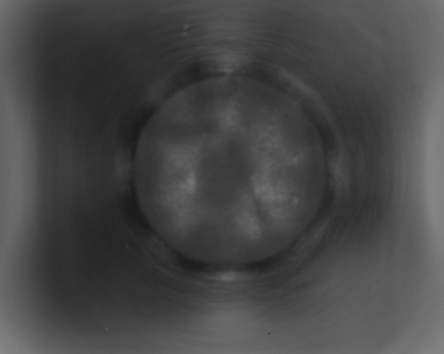 X0000100840657200807070934