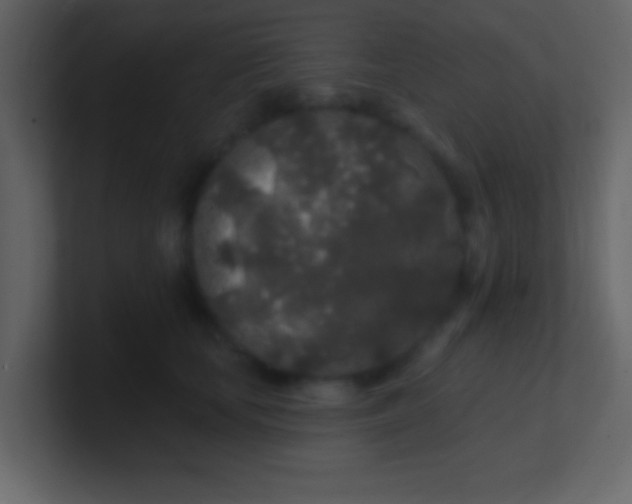 X0000100840659200807070934