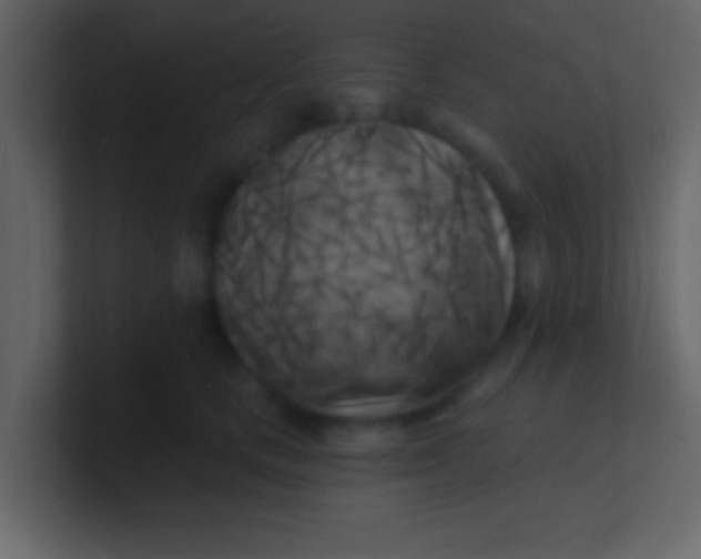 X0000100840661200807070934