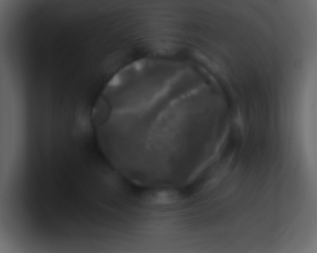 X0000100840663200807070934