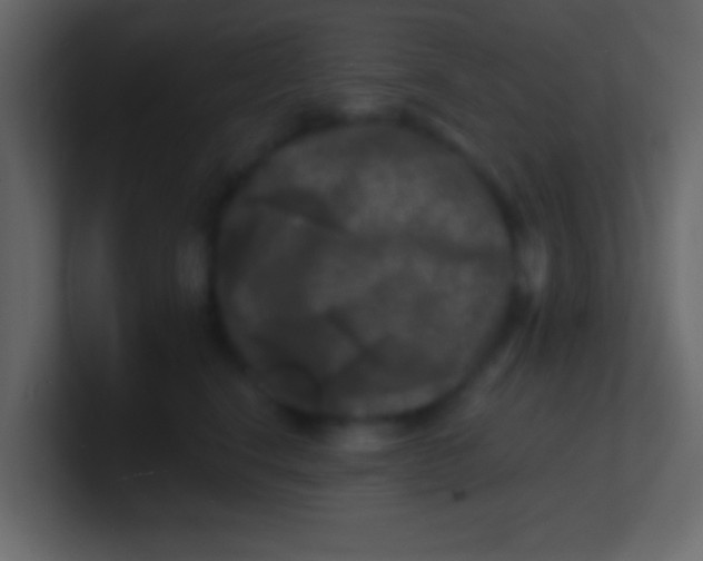 X0000100840664200807070934