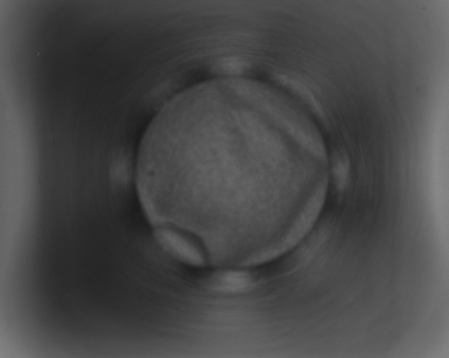 X0000100840665200807070934