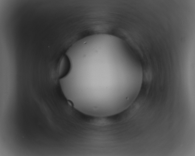 X0000100840666200807070934