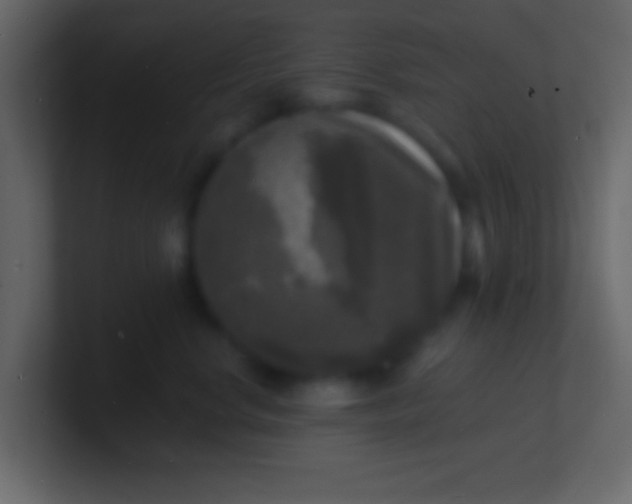 X0000100840668200807070934