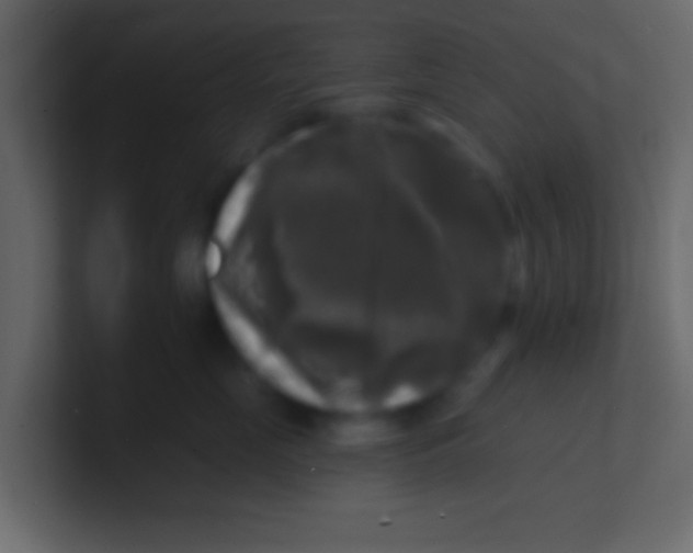 X0000100840669200807070934