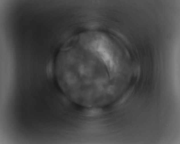 X0000100840670200807070934