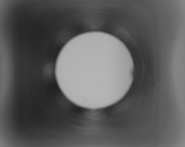 X0000100840672200807070934