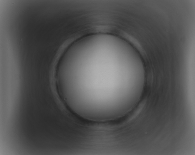 X0000100840673200807070934