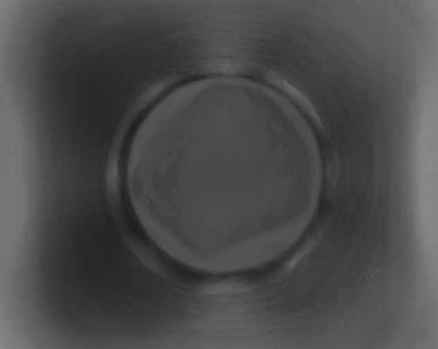 X0000100840674200807070934