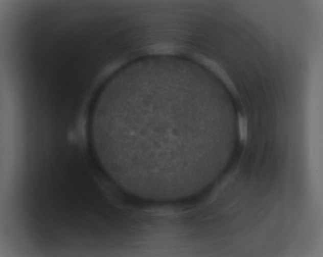 X0000100840675200807070934