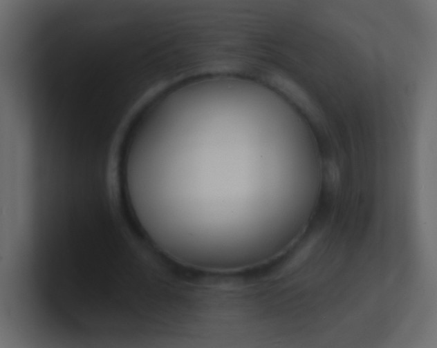 X0000100840676200807070933