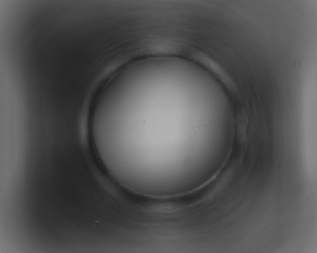 X0000100840677200807070933