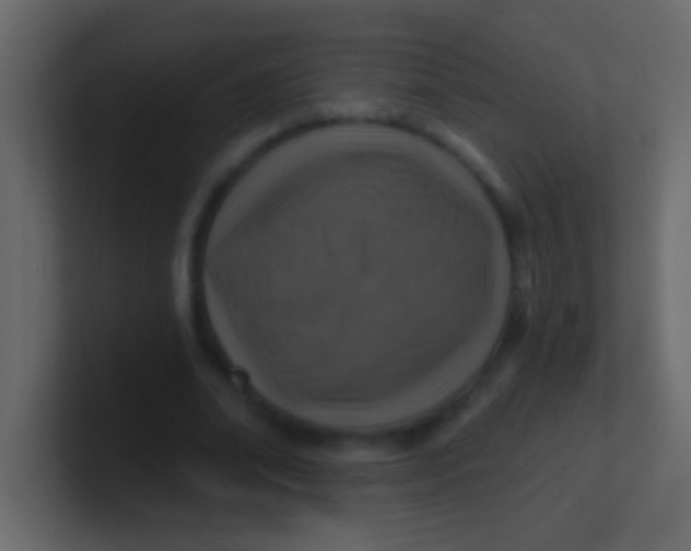 X0000100840678200807070933