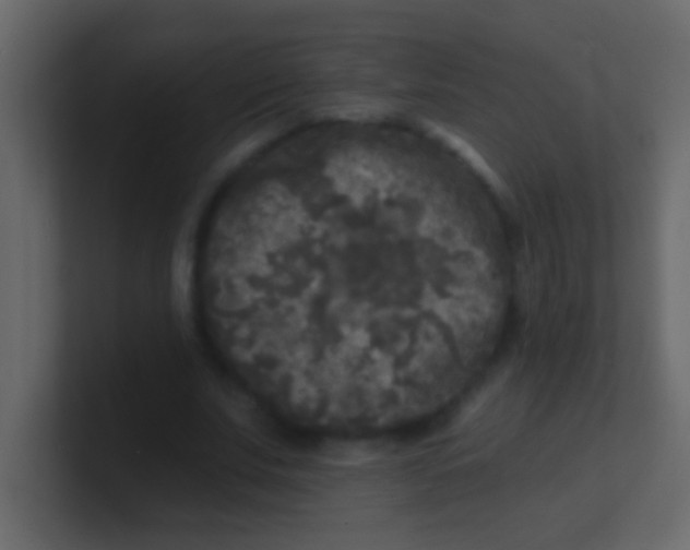 X0000100840679200807070933