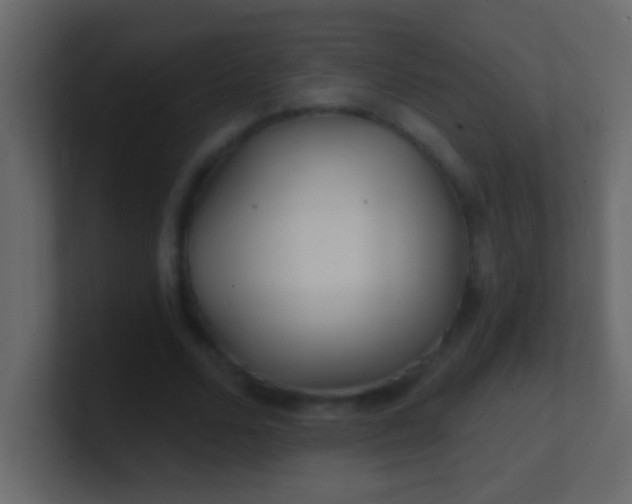 X0000100840680200807070933