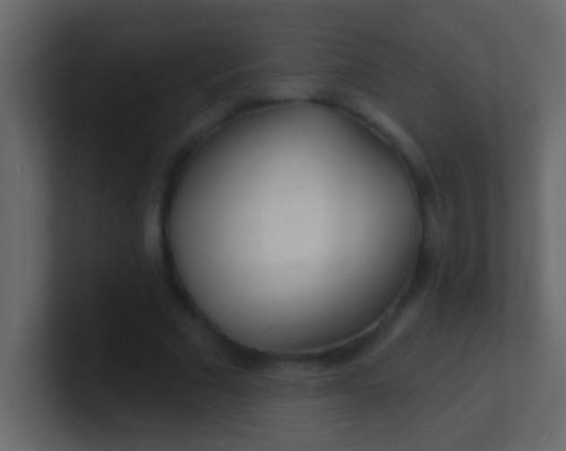 X0000100840681200807070933