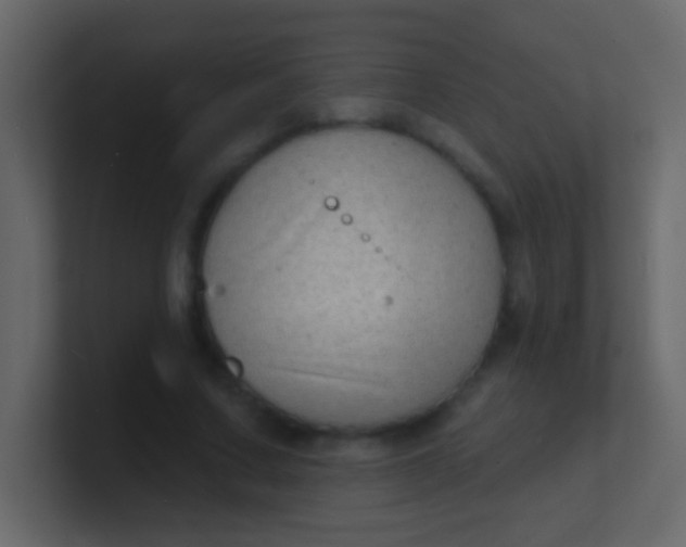 X0000100840683200807070933