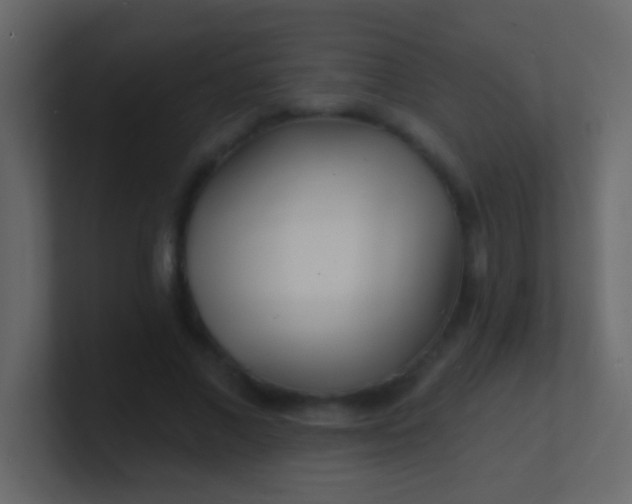 X0000100840685200807070933