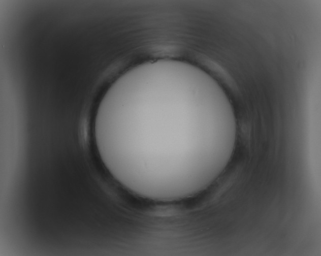 X0000100840686200807070933