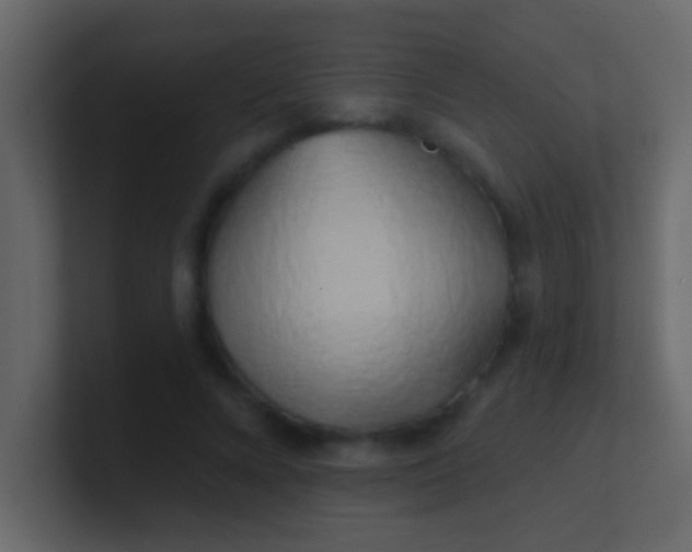 X0000100840688200807070933