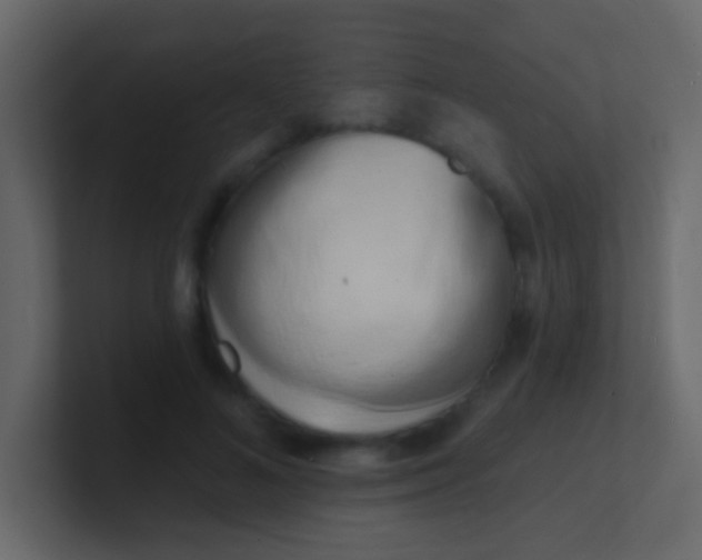 X0000100840692200807070933