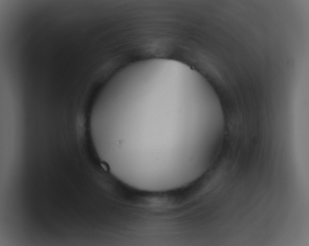 X0000100840693200807070933