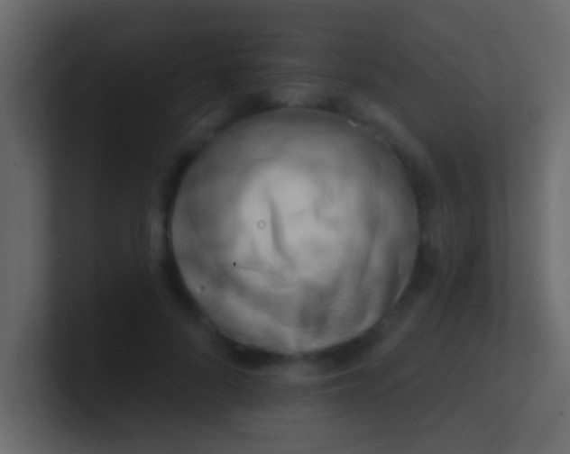 X0000100840696200807070933