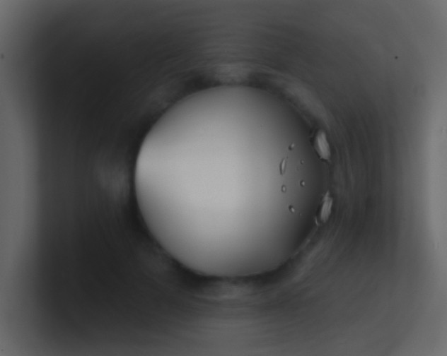 X0000100840697200807070933