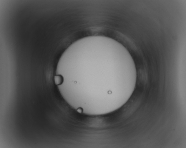 X0000100840698200807070933