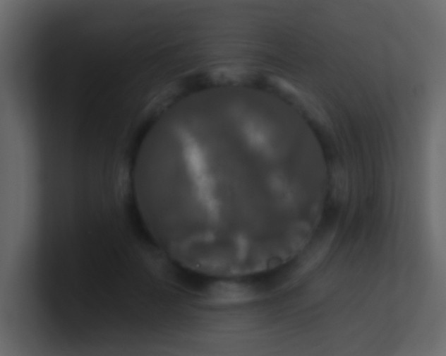 X0000100840699200807070933