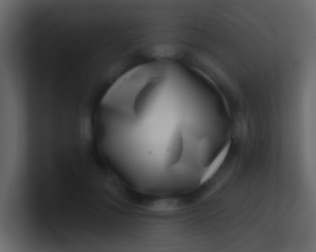 X0000100840700200807070933