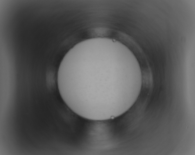 X0000100840701200807070933