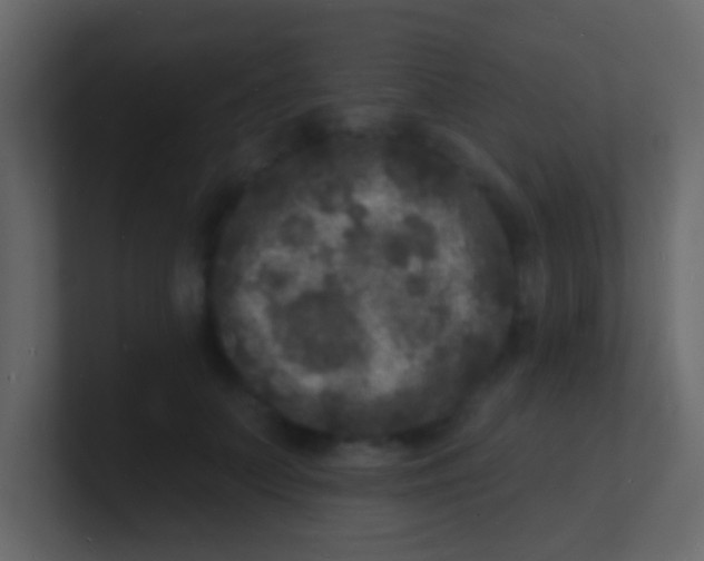 X0000100840703200807070933