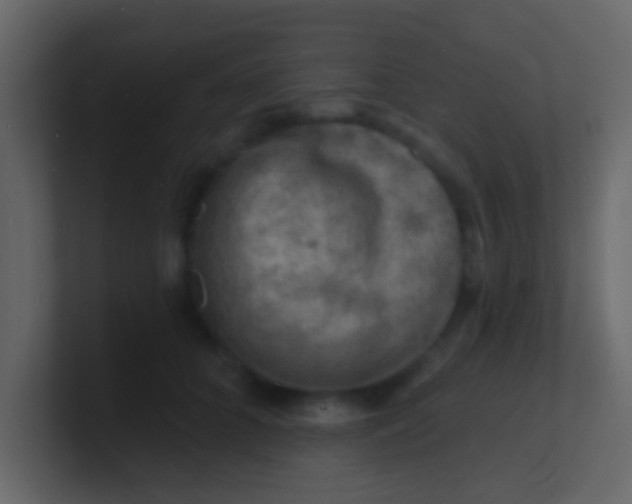 X0000100840704200807070933