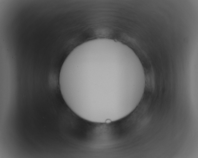 X0000100840705200807070933