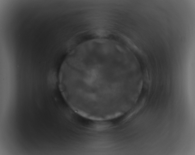 X0000100840707200807070933