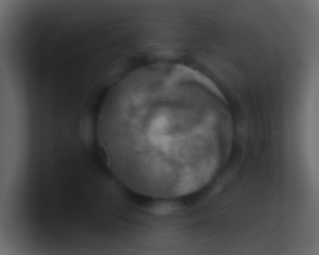 X0000100840708200807070933