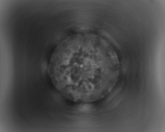 X0000100840711200807070933