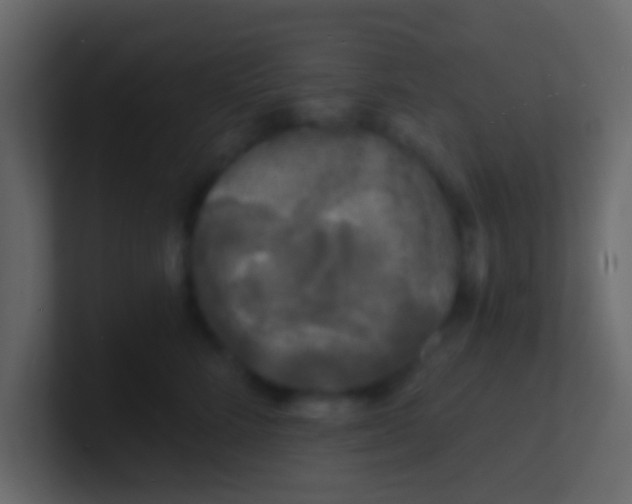 X0000100840712200807070933