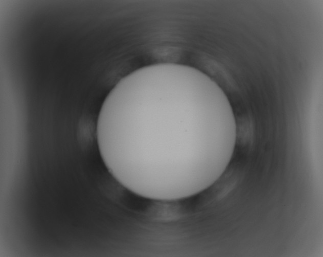 X0000100840713200807070933