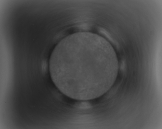 X0000100840715200807070933