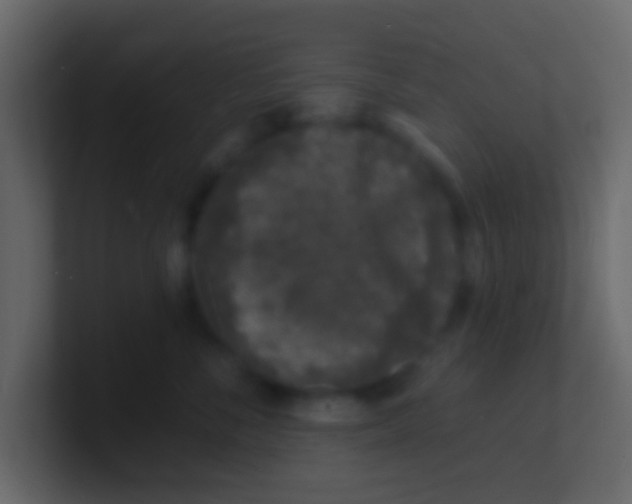 X0000100840716200807070933