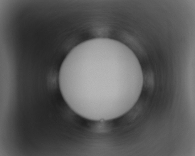 X0000100840717200807070933