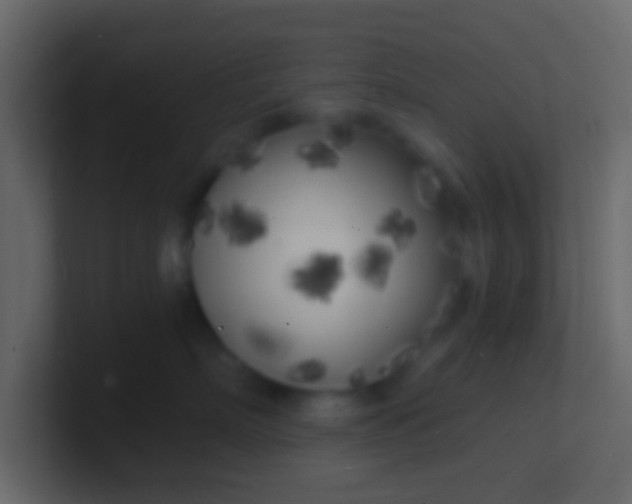 X0000100840718200807070933