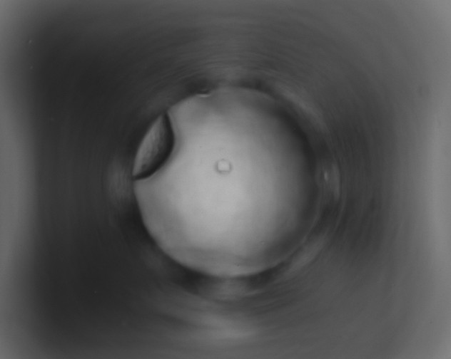 X0000100840719200807070933