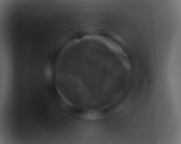 X0000100840720200807070933