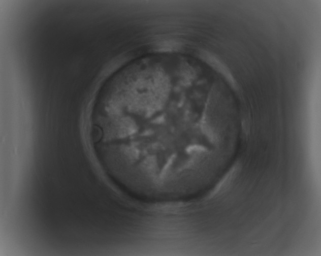 X0000100840721200807070932