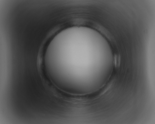 X0000100840723200807070932