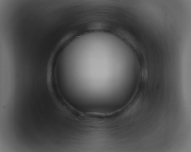 X0000100840724200807070932