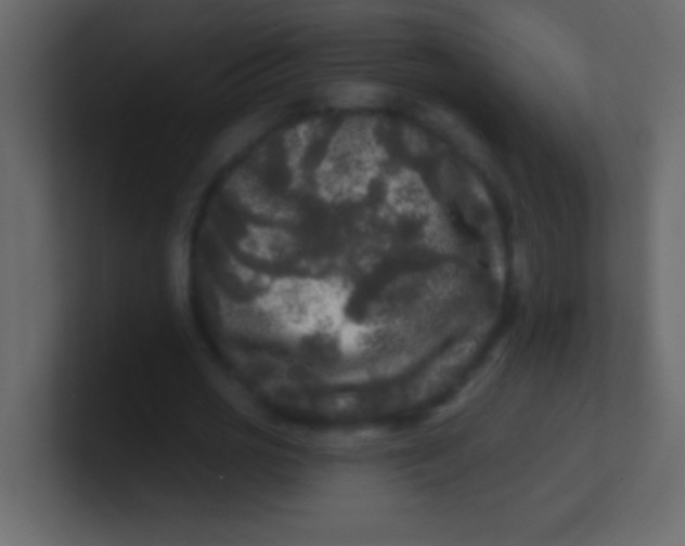 X0000100840725200807070932